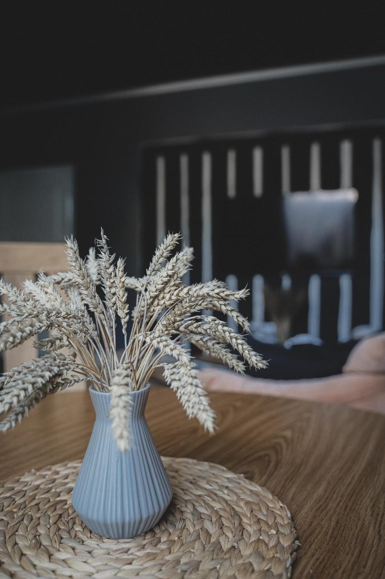Maximar Apartment With Sauna Valga Zewnętrze zdjęcie